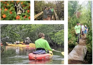 Image of people in the Wild Lime Adventure Tour